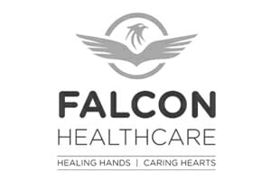 falcon healthcare